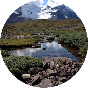 Guided Hikes Guided Hikes in Jasper National Park