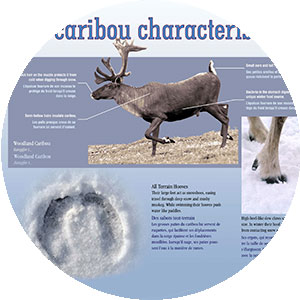 interpretive writing interpretive writing